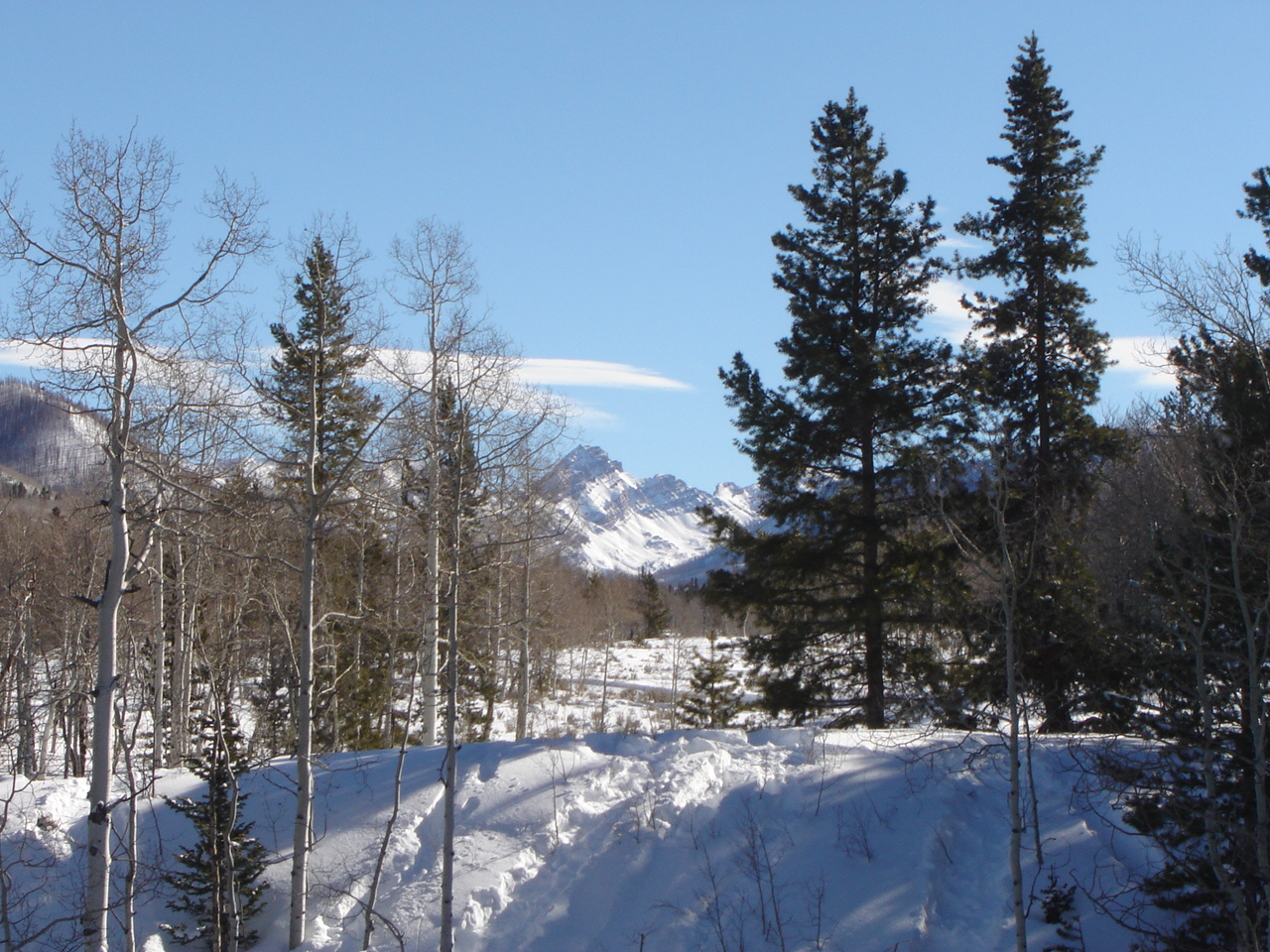 December 30, 2006 011